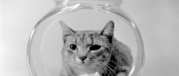 urlhttp3A2F2Fnpr-brightspot.s3.amazonaws.com2Feb2F442F480009f0420fb5fd30ddb08af1432Fgettyim.jpeg
